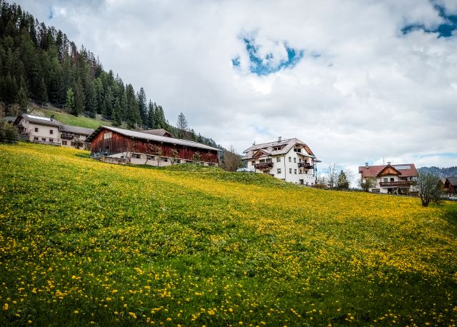 Image: Apartments Tieshof