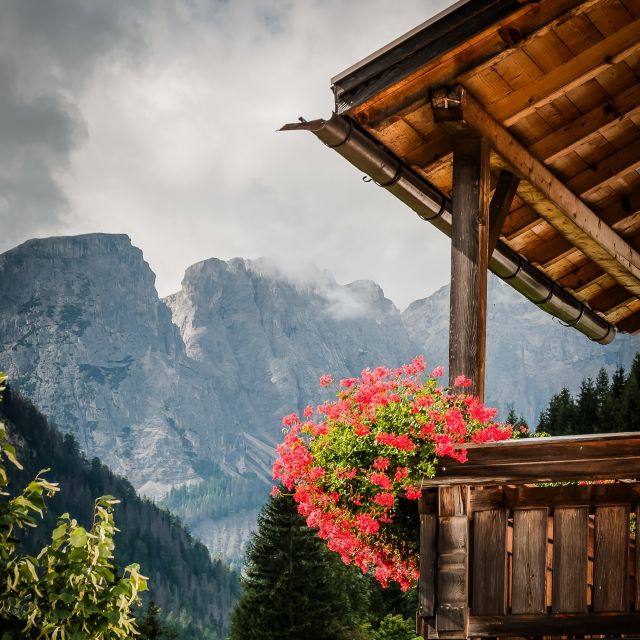 Image: Apartments Tieshof